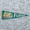 Vintage Florida Pennant