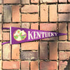 Vintage Kentucky Pennant