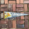 Vintage Monterey, California, Pennant
